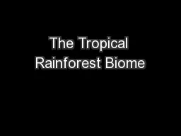 The Tropical Rainforest Biome