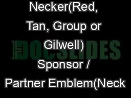 Adult Necker(Red, Tan, Group or Gilwell) Sponsor / Partner Emblem(Neck