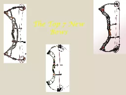 The Top 7 New Bows