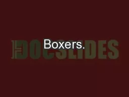 Boxers.