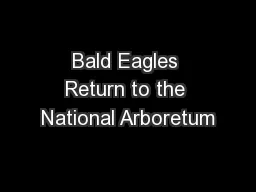 Bald Eagles Return to the National Arboretum