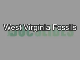 West Virginia Fossils