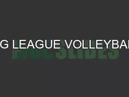 BIG LEAGUE VOLLEYBALL