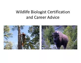PDF-WildlifeBiologistCertificationCareer thumbnail