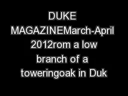 DUKE MAGAZINEMarch-April  2012rom a low branch of a toweringoak in Duk