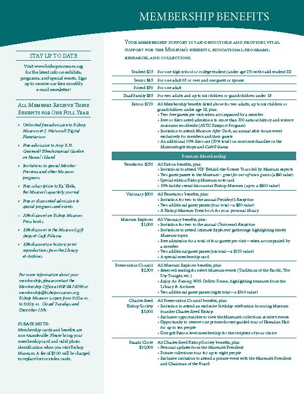 Y    -     \