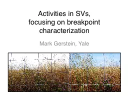 Activities in SVs,