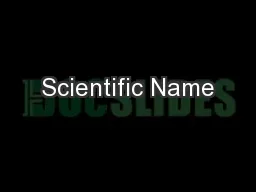 Scientific Name