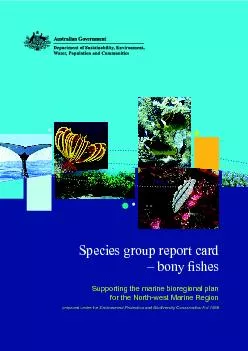 Species group report card
