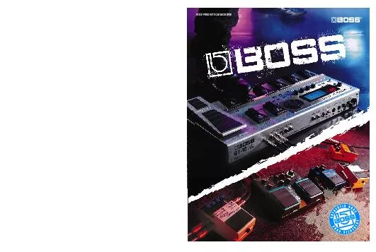 BOSS PRODUCTS CATALOG 2008
