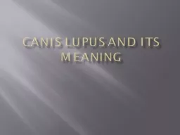Canis lupus and its meaning
