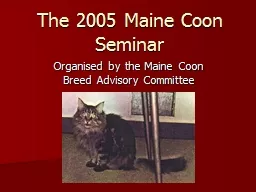 The 2005 Maine Coon Seminar