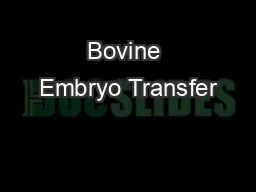 Bovine Embryo Transfer