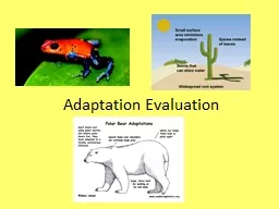 Adaptation Evaluation