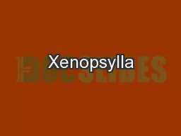 Xenopsylla