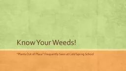 Know Your Weeds!