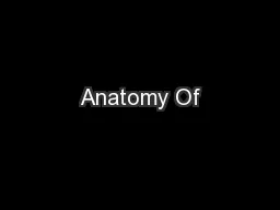 Anatomy Of