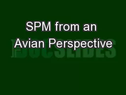 SPM from an Avian Perspective