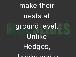 umblebees make their nests at ground level, Unlike Hedges, banks and a