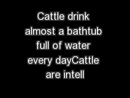 Cattle drink almost a bathtub full of water every dayCattle are intell