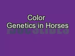 Color Genetics in Horses
