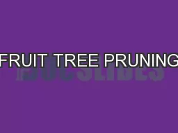 FRUIT TREE PRUNING