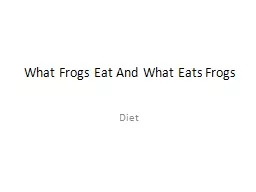 What Frogs Eat And What Eats Frogs