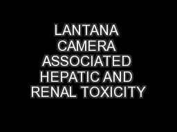 LANTANA CAMERA ASSOCIATED HEPATIC AND RENAL TOXICITY