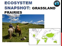 Ecosystem Snapshot: