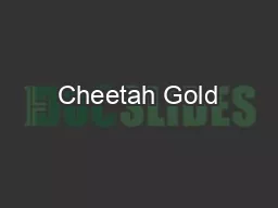 Cheetah Gold