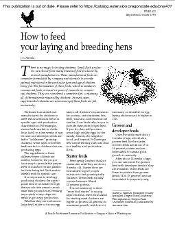 How to feedyour laying and breeding hens