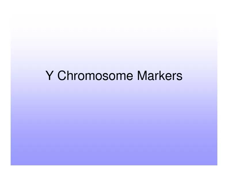 Y Chromosome Markers