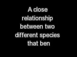 A close relationship between two different species that ben