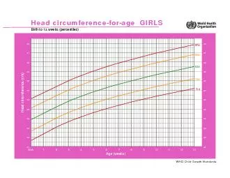 Head circumference (cm)Age (weeks)