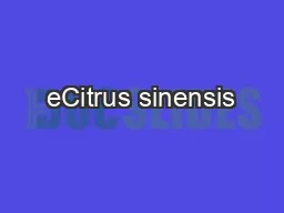 eCitrus sinensis