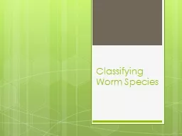Classifying Worm Species
