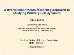 A Hybrid Experimental/Modeling Approach to Studying Pituita