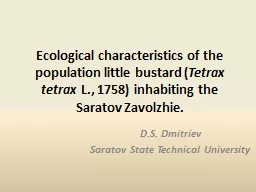 Ecological characteristics of the population little bustard