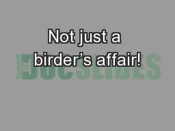 Not just a birder’s affair!