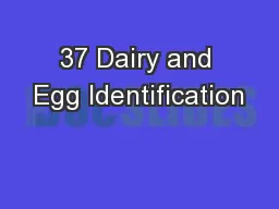 37 Dairy and Egg Identification