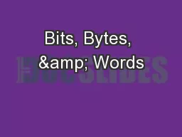 Bits, Bytes, & Words