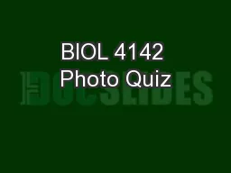 BIOL 4142 Photo Quiz