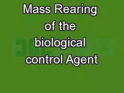 Mass Rearing of the biological control Agent