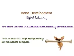 Bone Development