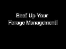 Beef Up Your Forage Management!