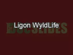 Ligon WyldLife