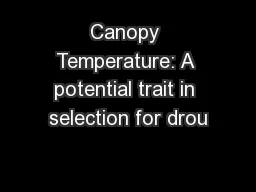 Canopy Temperature: A potential trait in selection for drou
