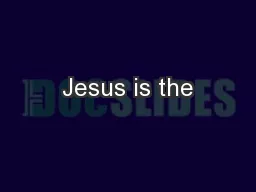 Jesus is the
