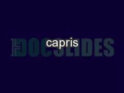 capris