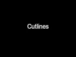 Cutlines